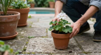 Monty Don's Simple Potted Plant Trick Makes Any Garden Path Feel Instantly More Magical